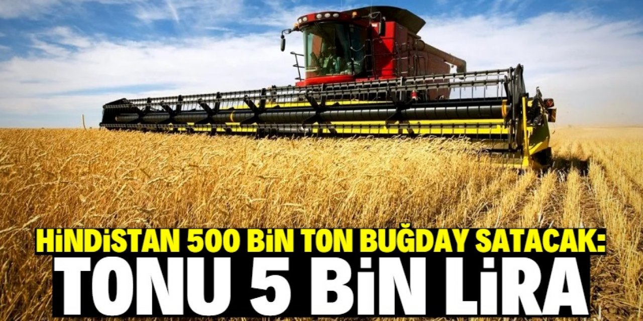 Hindistan 500 bin ton buğday satacak