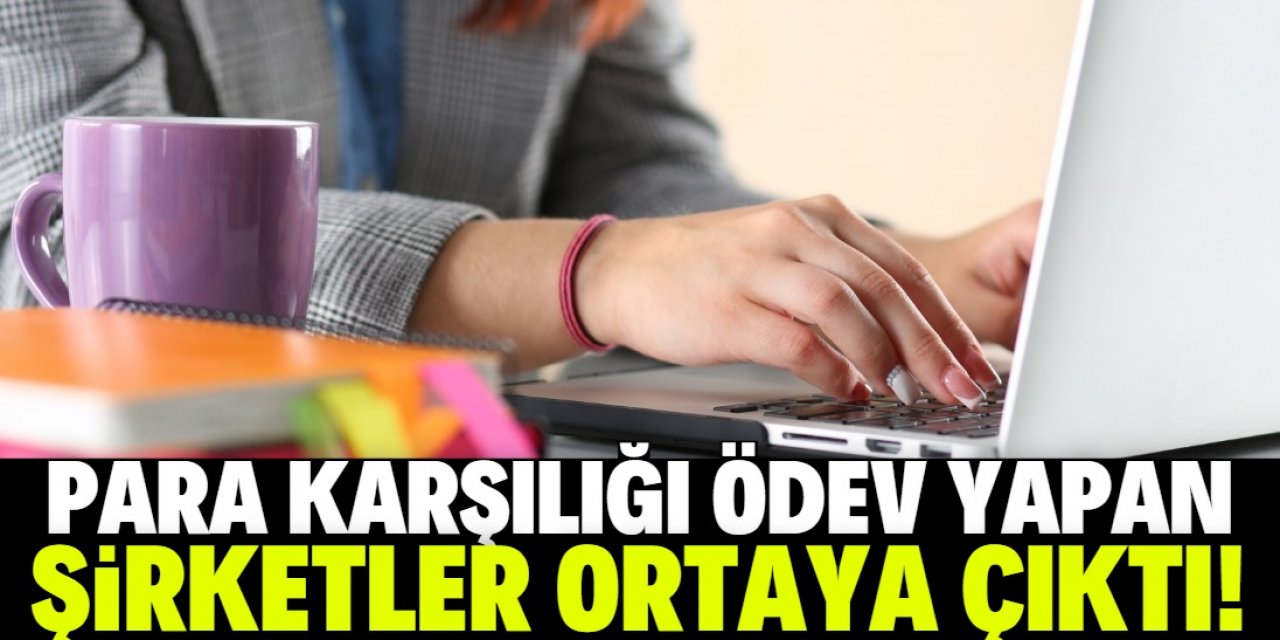 Parayı verenin ödevini yapmışlar!