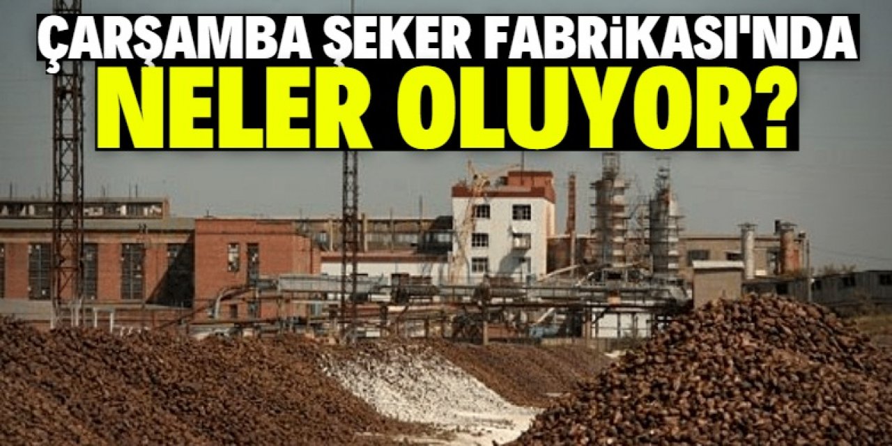 Çarşamba Şeker Fabrikası neden açılmıyor?