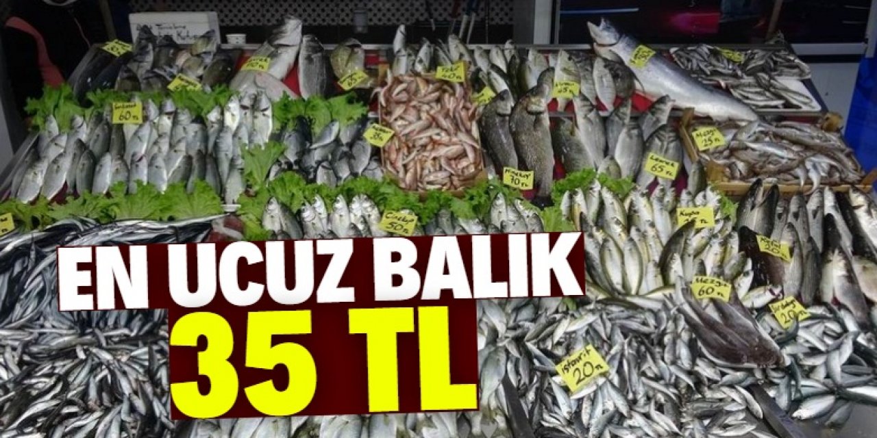 Kar yağışı balık tezgahını vurdu