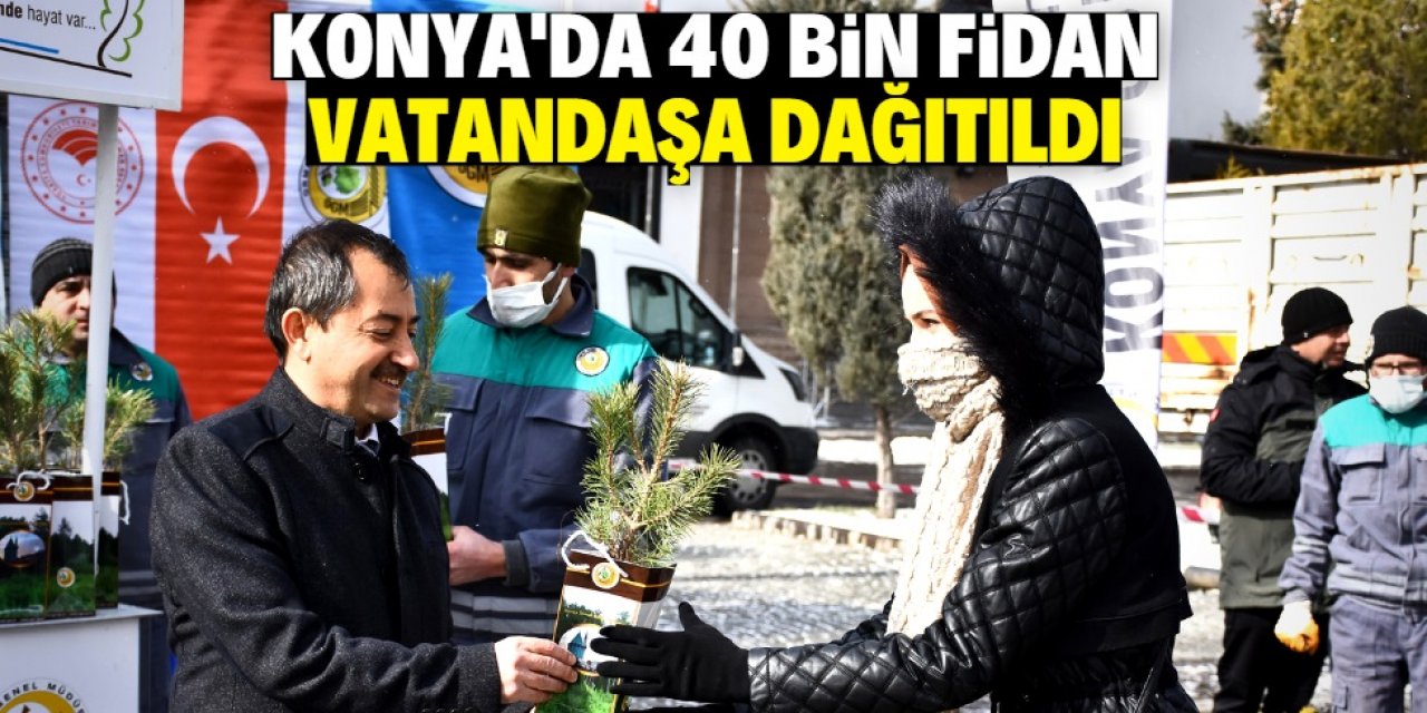 Konya'da 40 bin karaçam ve sedir fidanı dağıtıldı