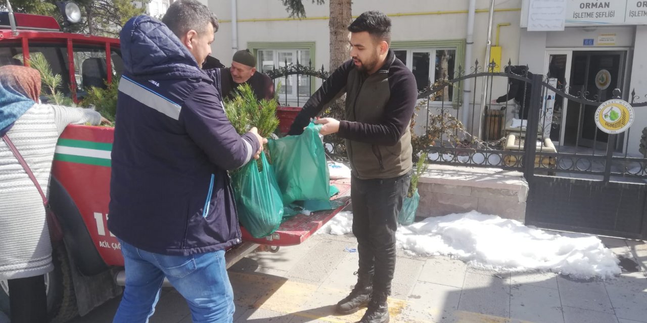 Seydişehir'de 3 bin karaçam ve sedir fidanı dağıtıldı