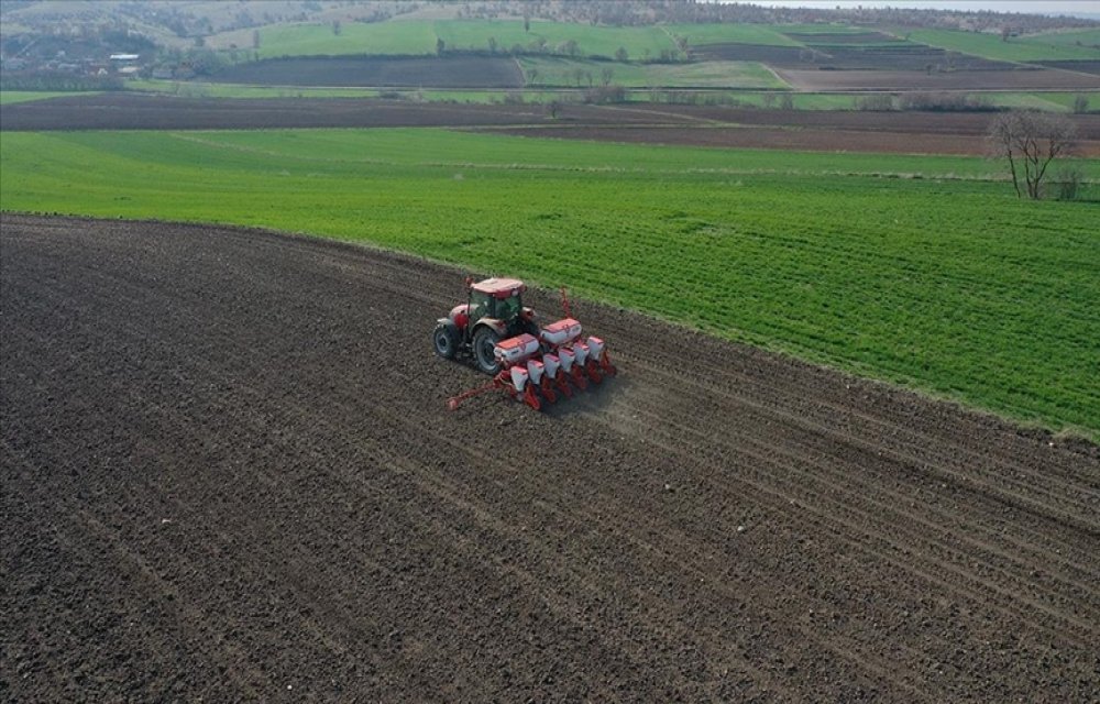 Türkiye'nin önemli ayçiçeği üretim merkezlerinden Edirne'de ekim mesaisi başladı
