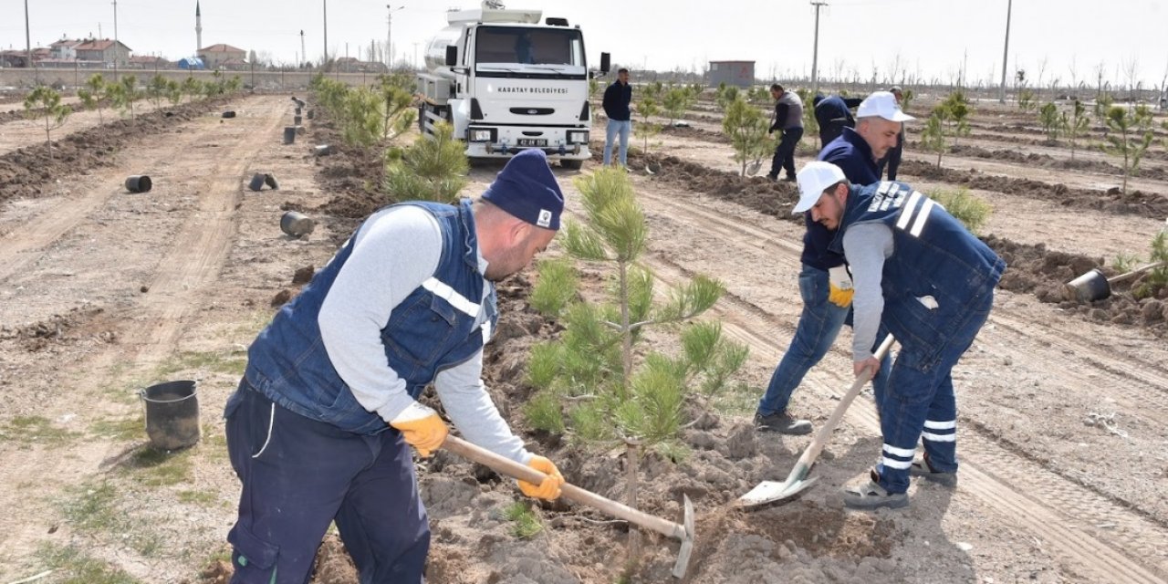 Karatay'da ağaçlandırma çalışmaları sürüyor