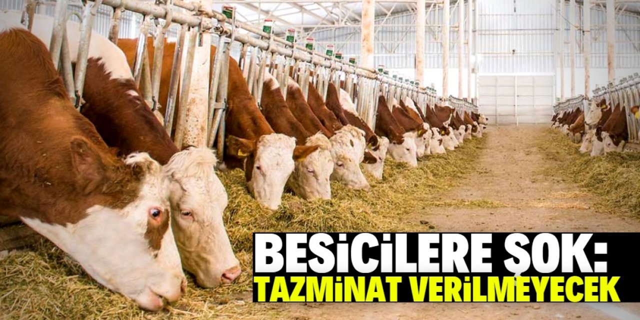 Besiciler bu haberi beğenmeyecek