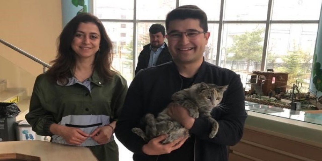 Akşehir'de doğumu yarım kalan sokak kedisinin hayatı sezaryenle kurtarıldı