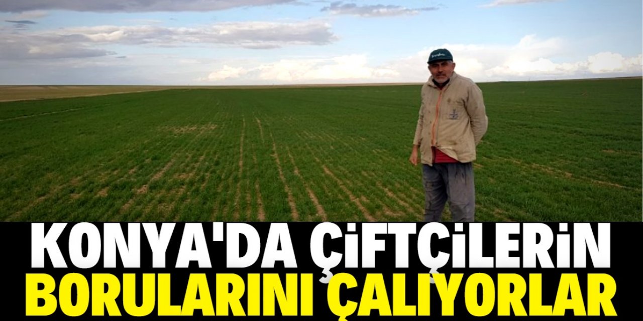 Konya Ovası'na hırsızlar dadandı: Çiftçilerin borularını çalıyorlar