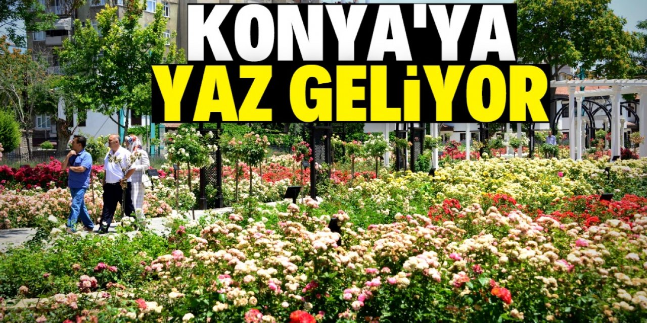 Konya'da sıcaklıklar artıyor: Yaz geliyor