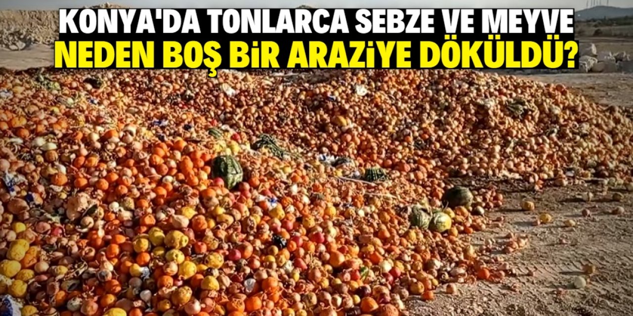 Konya merkezdeki araziye tonlarca sebze ve meyve neden döküldü?