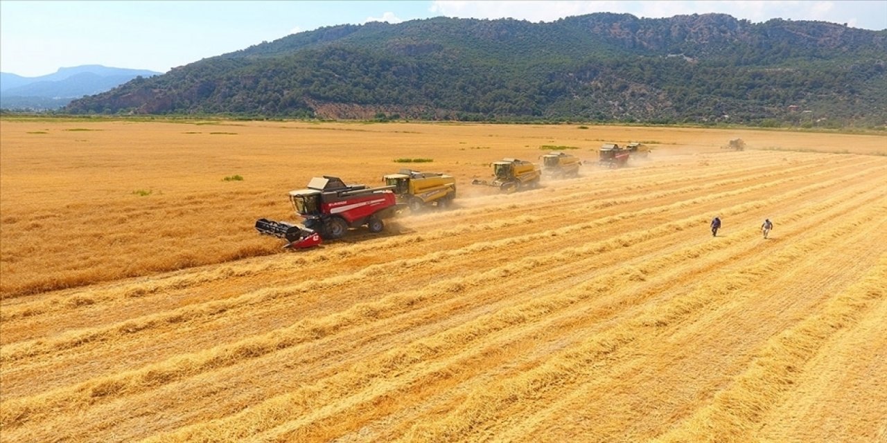 Tarımsal girdi fiyat endeksi şubatta yıllık yüzde 80,99, aylık yüzde 16,69 arttı