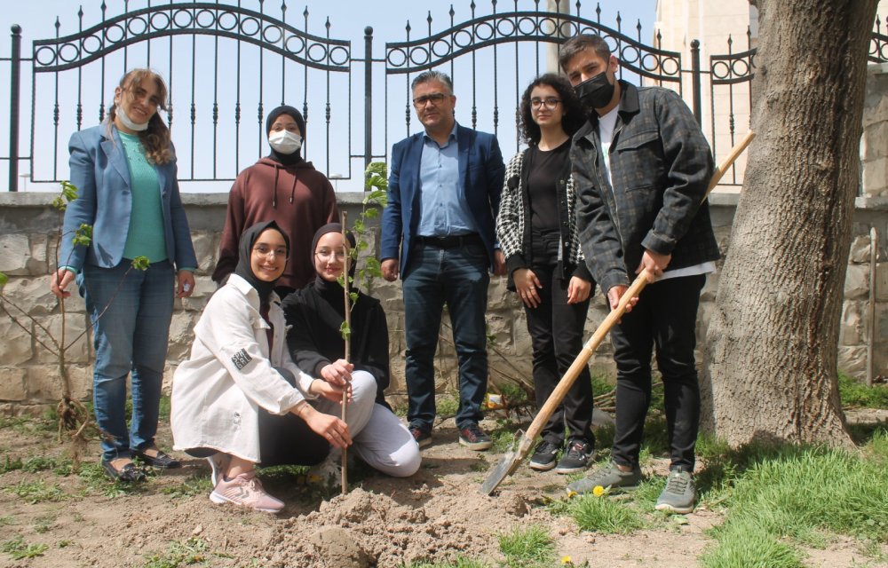 Atatürk Anadolu Lisesi  öğrencileri fidan dikti