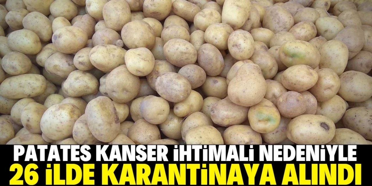 Patates 26 ilde karantinaya alındı