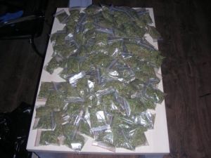 Şanlıurfa’da 39 Uyuşturucu Taciri Tutuklandı