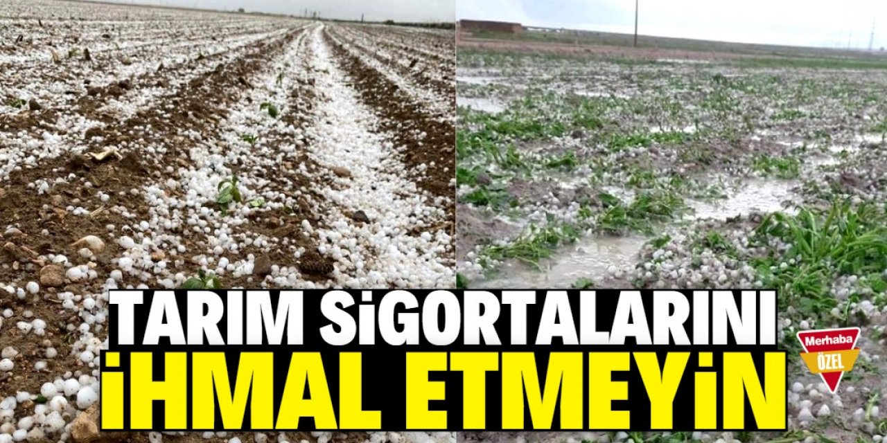 Çiftçilere tarım sigortası uyarısı