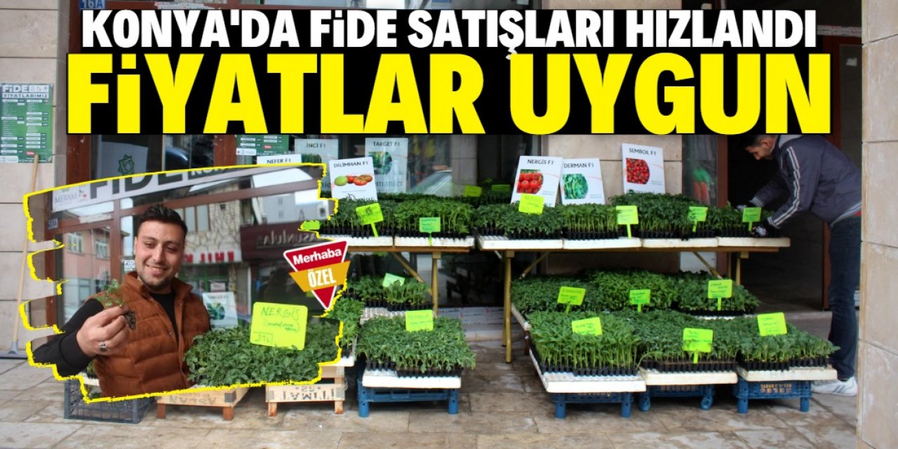 Konya'da yaşayanların fide mesaisi başladı