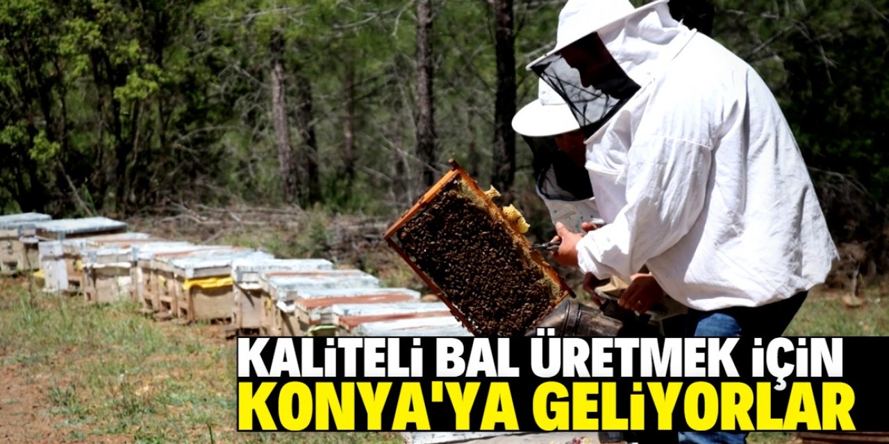 Gezgin kadın arıcılar en iyi balı üretmek için Konya'ya geliyor