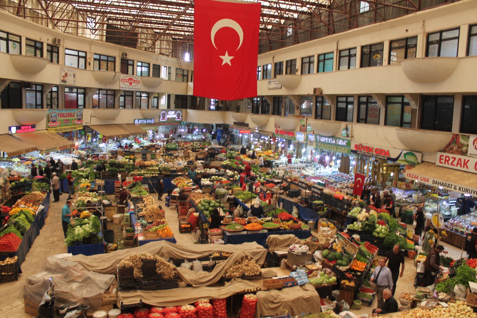 Kuraklık yüzünden bu yıl domalan mantarı çıkmadı