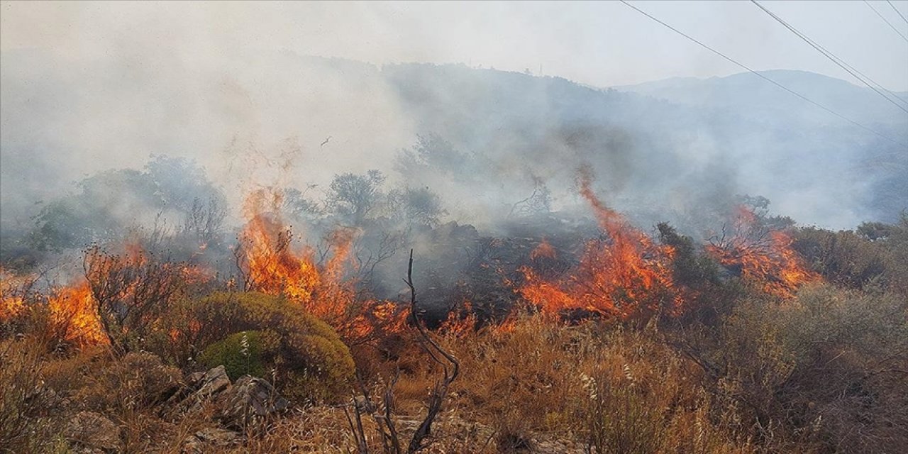 Dalaman'da orman ve makilik alanda yangın çıktı