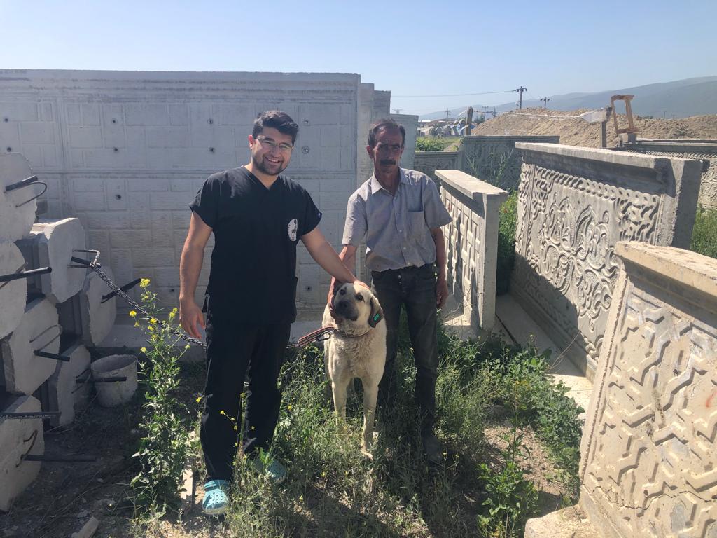 Akşehir Belediyesi sahipsiz köpekleri sahiplendiriyor