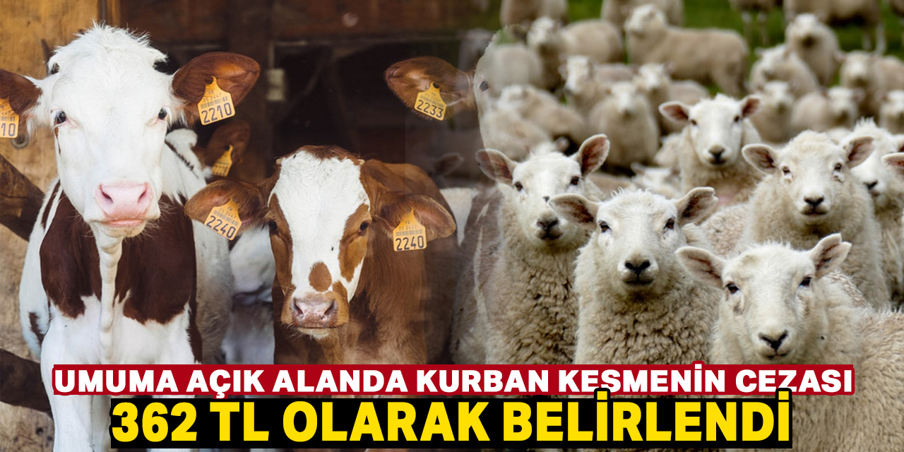 Umuma açık yerde kurban kesmenin cezası belirlendi