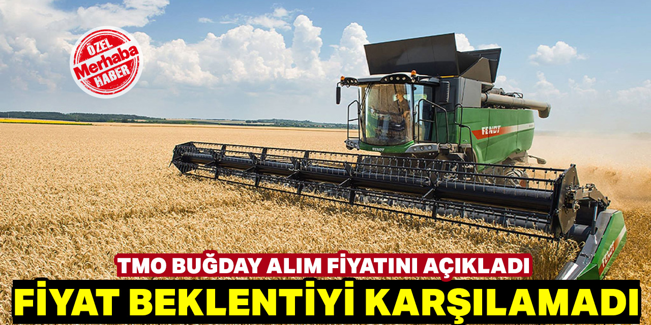 Açıklanan fiyat beklentiyi karşılamadı