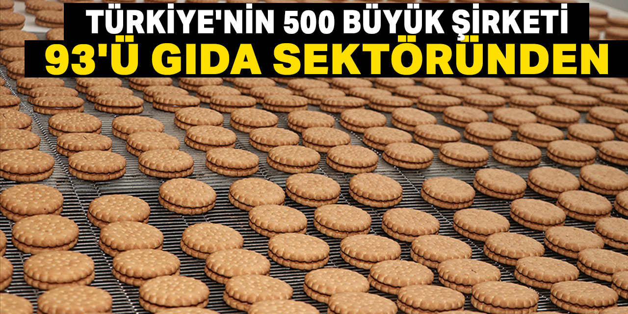 Türkiye'nin 500 büyük şirketinden 93'ü gıda sektöründen