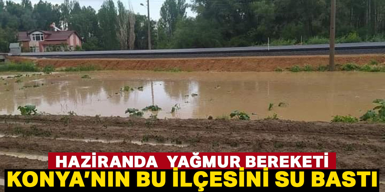 Konya'da ekili alanlar sular altında kaldı