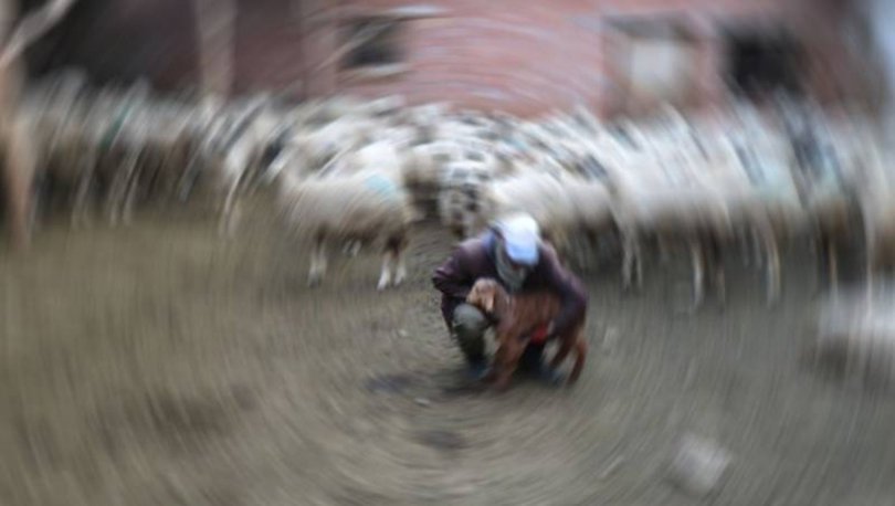 Afgan çobanların kavgasında 1 kişi öldü