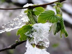 Meteorolojiden buzlanma ve don uyarısı