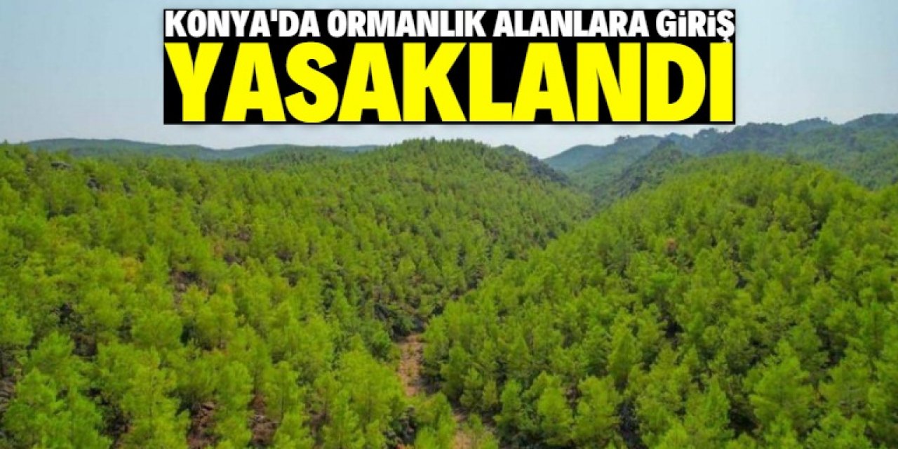 Konya'da ormanlık alanlara giriş çıkışlar yasaklandı