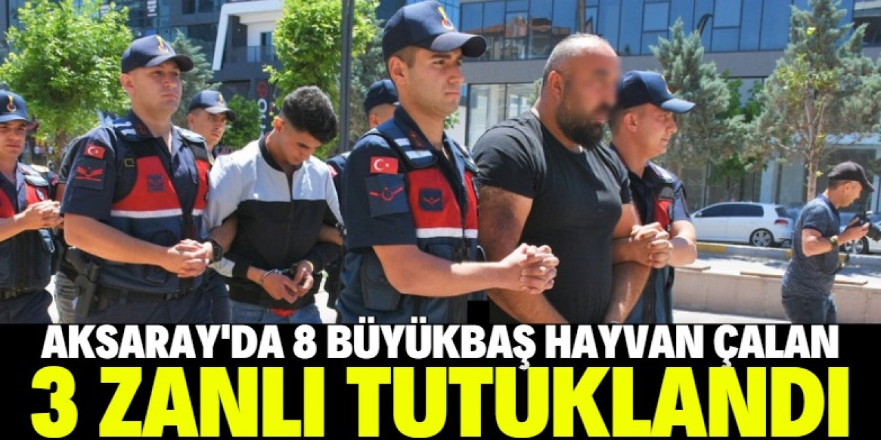 Aksaray'da 8 büyükbaş çalan 3 zanlı tutuklandı