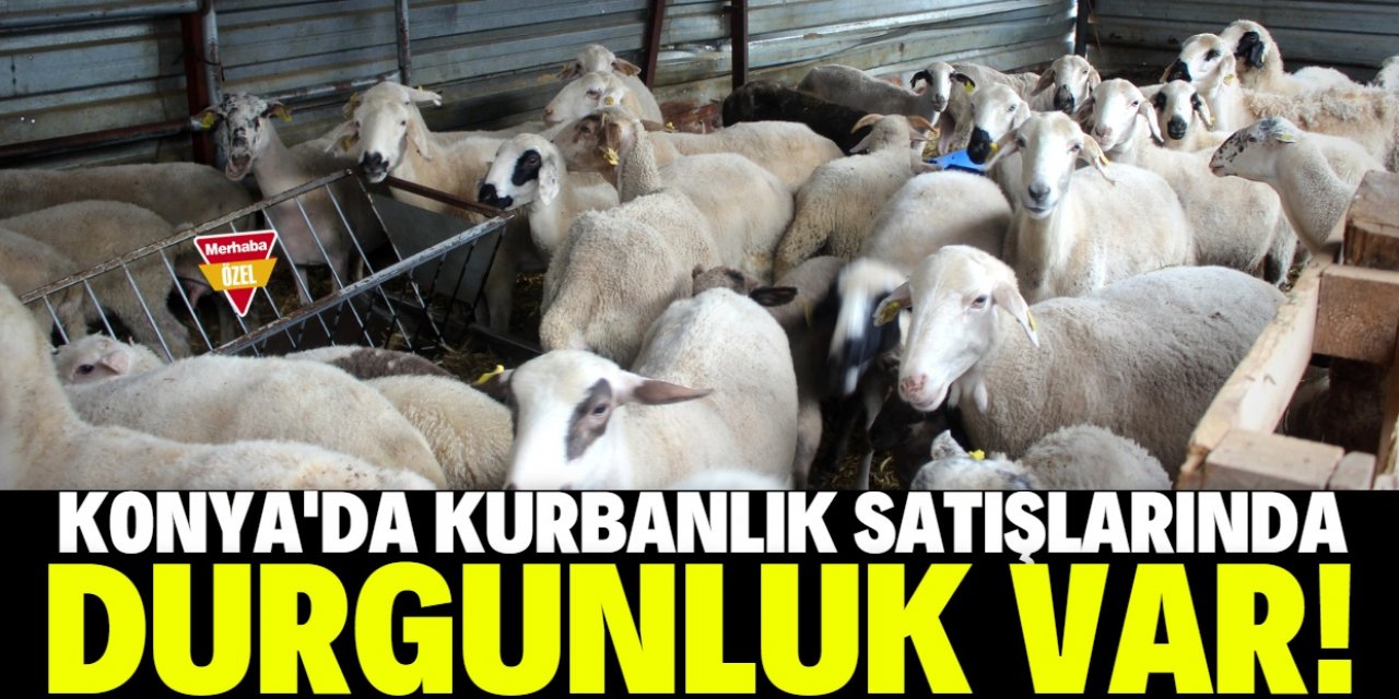 Ekonomik kriz Konya'daki kurban pazarını da vurdu!