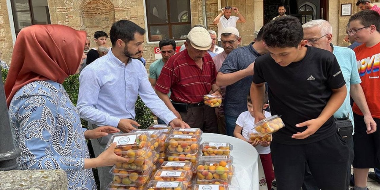 Öğrenciler okulun bahçesinde ilaç kullanmadan kayısı yetiştirdi