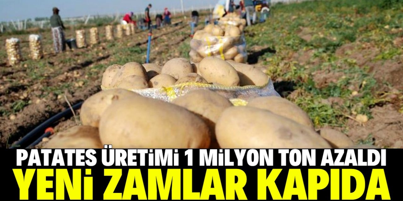 Konya'da 1 kilo patates 12 lira: Yeni zamlar geliyor!