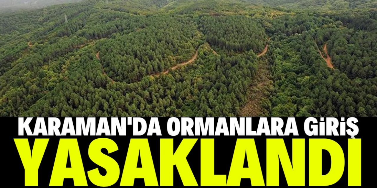 Karaman'da orman alanlarına girişler 30 Eylül'e kadar yasaklandı