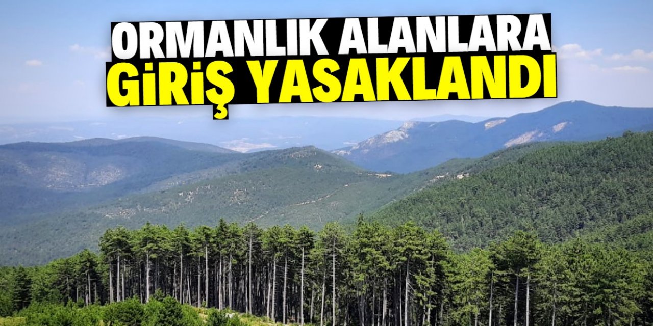 Türkiye genelinde ormanlık alanlara giriş yasaklandı