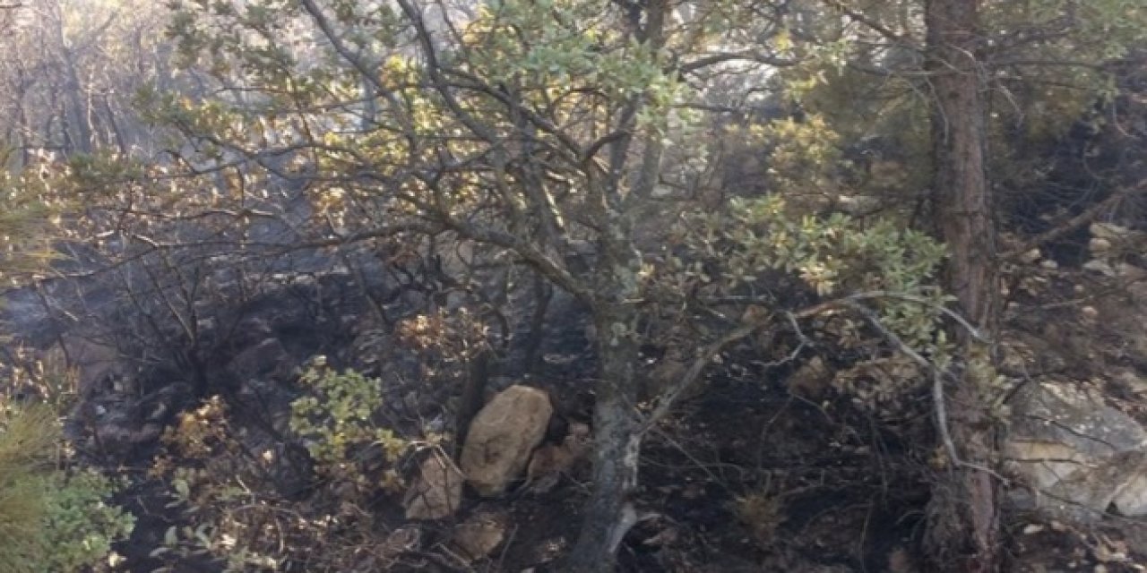 Karaman'da çıkan orman yangınına müdahale ediliyor