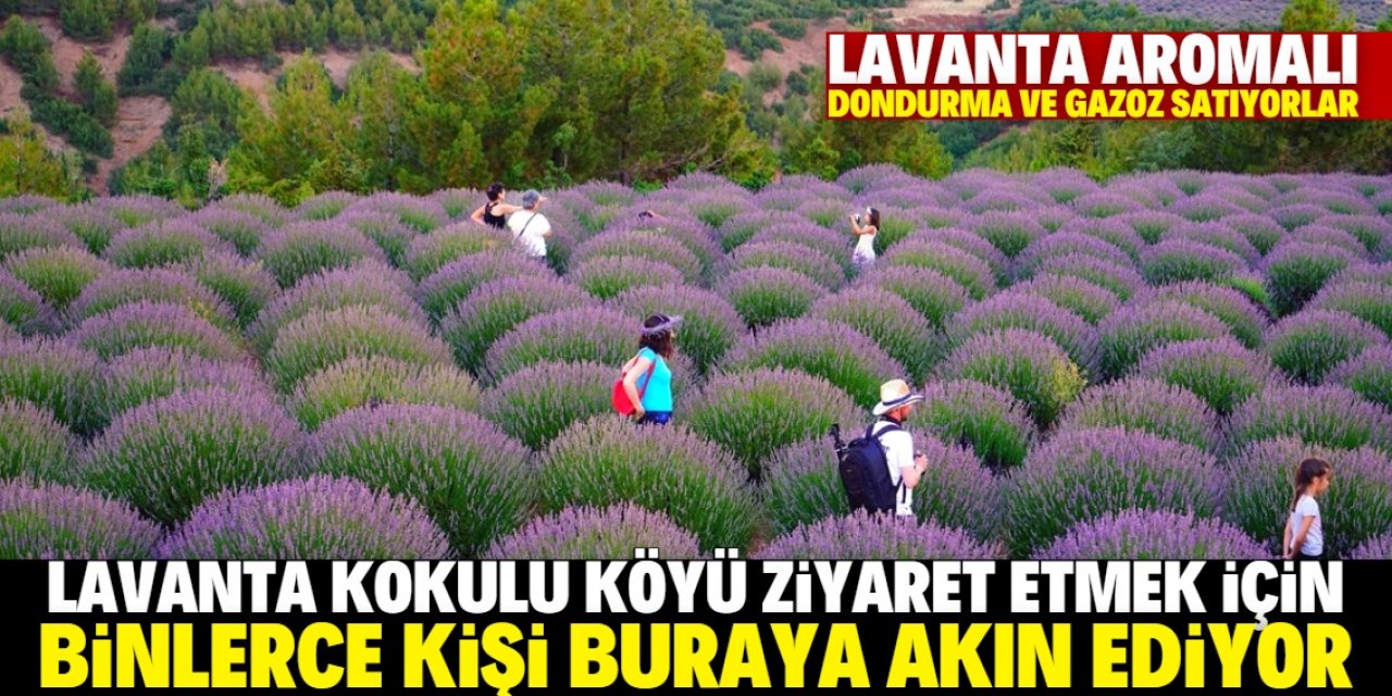 Lavanta kokulu Kuyucak köyünde ziyaretçiler keyifli zaman geçiriyor