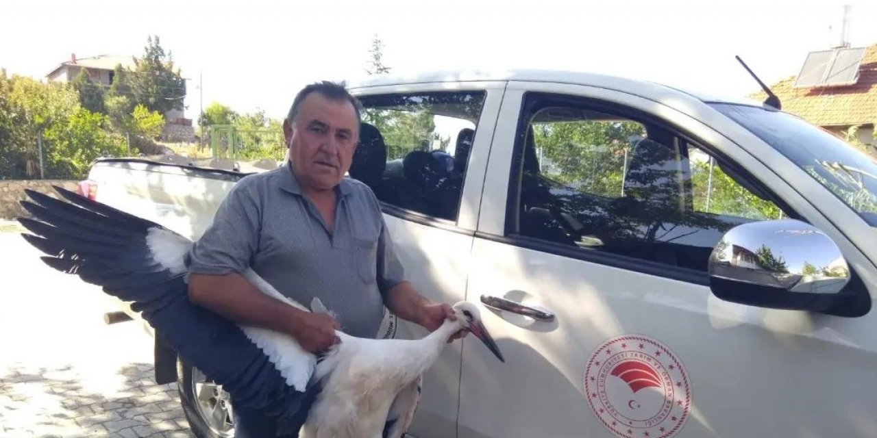 Beyşehir'de bulunan yaralı leylek tedavi ediliyor