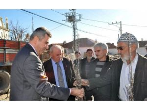 Demirci'de Çiftçilere 3 Bin Elma Fidanı Dağıtıldı