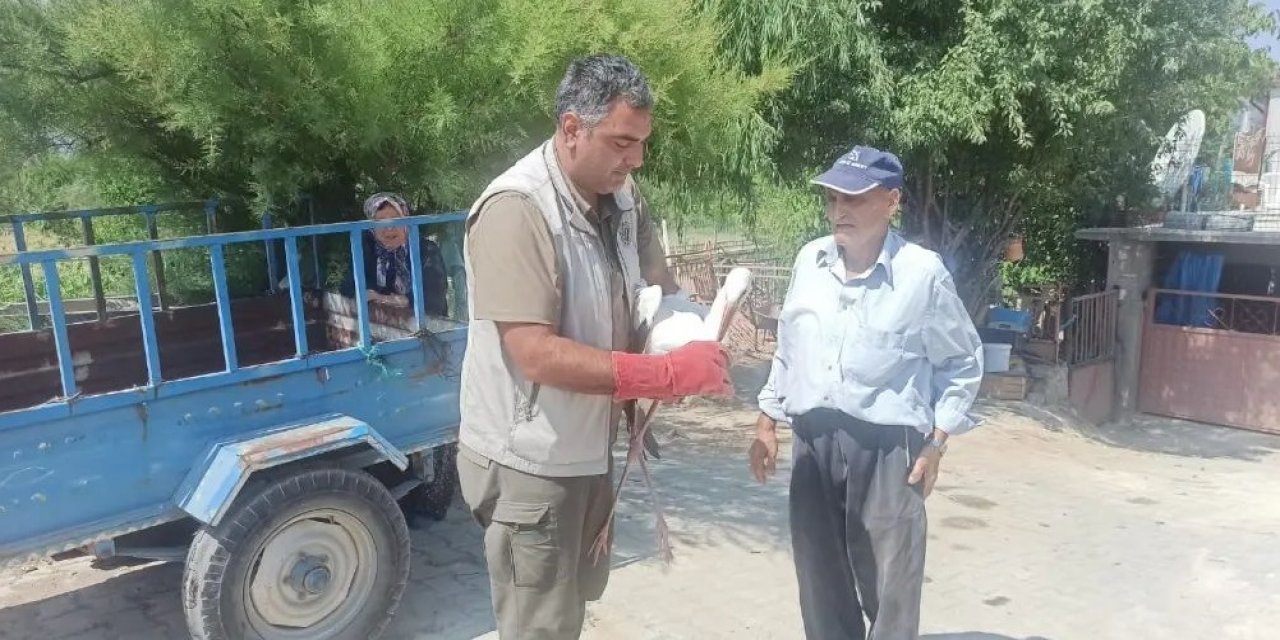 Konya'da yaralı halde bulunan leylek tedaviye alındı