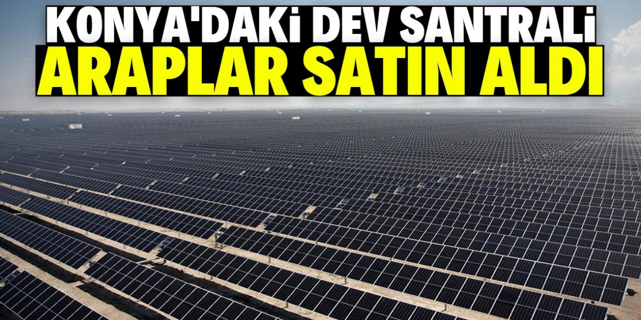 Araplar Konya'daki dev santrali satın aldı