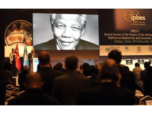 Ipbes, Bioçeşitlik Kaybının Önüne Geçecek