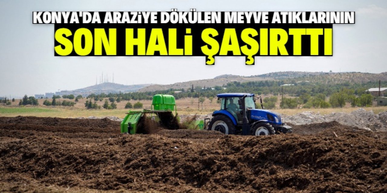 Konyalılar araziye dökülen meyve atıklarını merak ediyordu: Şimdiye kadar 620 ton üretilmiş