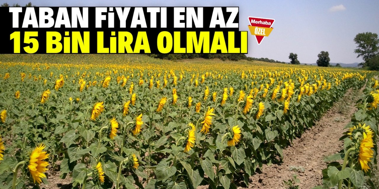 Konyalı çiftçiler ayçiçeğin taban fiyatının en az 15 bin lira olmasını istiyor