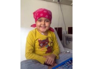 Lösemi Hastası Aleynanur, Yardım Eli Uzanmasını Bekliyor