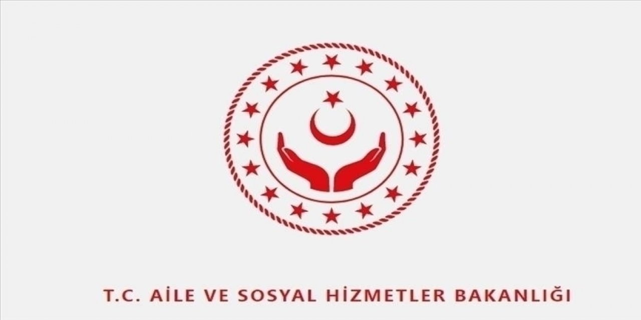 Aile ve Sosyal Hizmetler Bakanlığı, Almanya'da evlatlık verilen Türk ailenin bebeği için harekete geçti