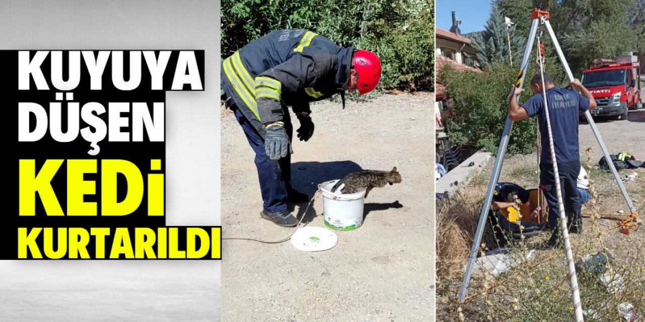 Konya'da kuyuya düşen kedi boya kutusu yardımıyla kurtarıldı