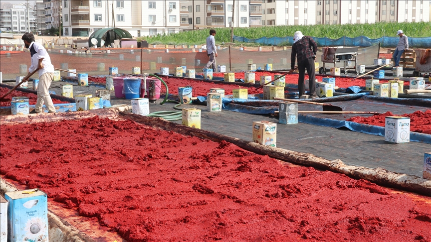 Şanlıurfa'da "isot reçeli" sezonu başladı