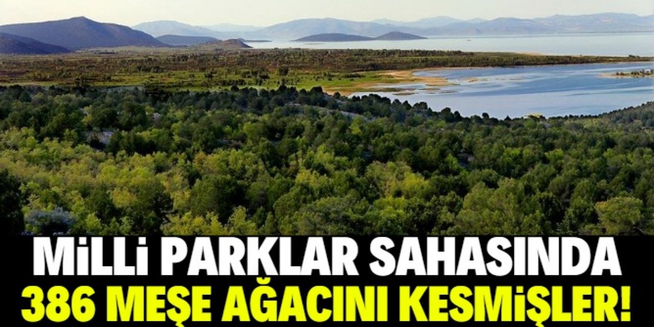 Konya'da milli park sahasında ağaç kesimi yaptığı iddiasıyla 2 kişi yakalandı